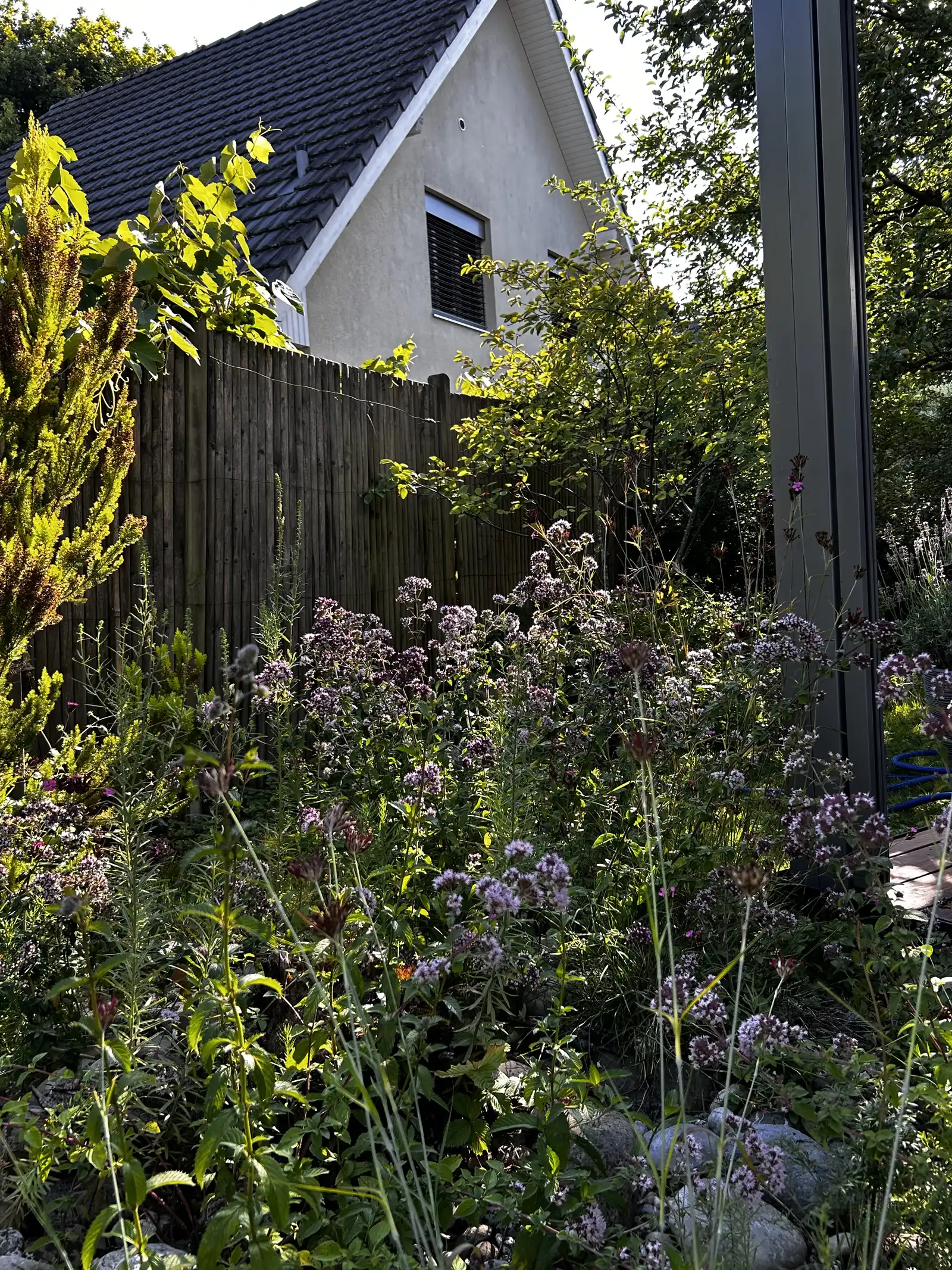 Gartenimpression 11