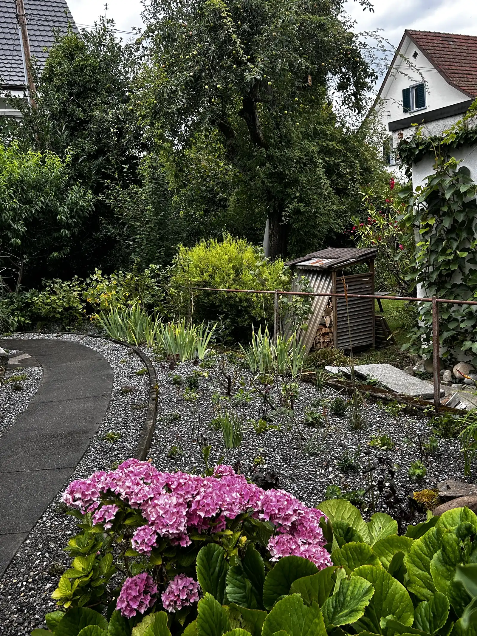 Gartenimpression 12