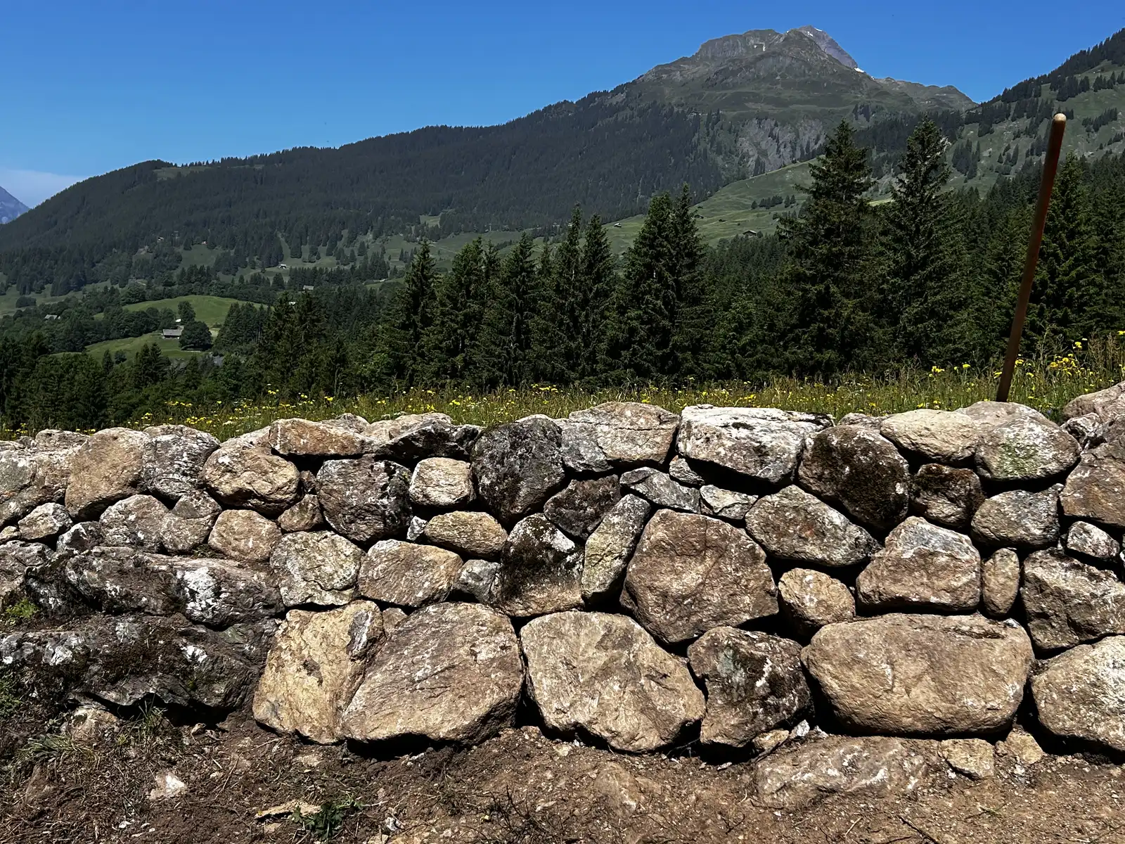 Gartenimpression 15