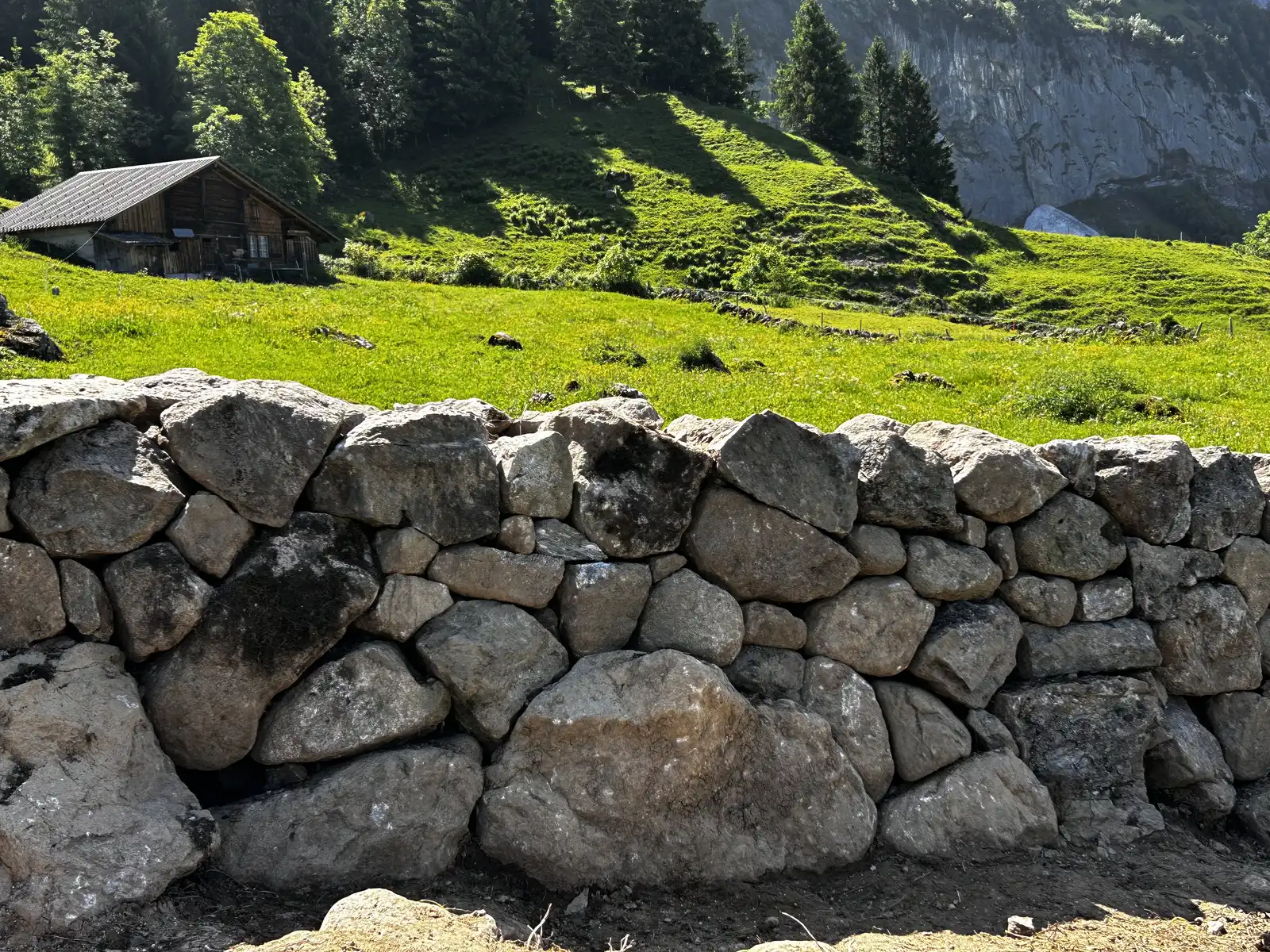 Gartenimpression 16