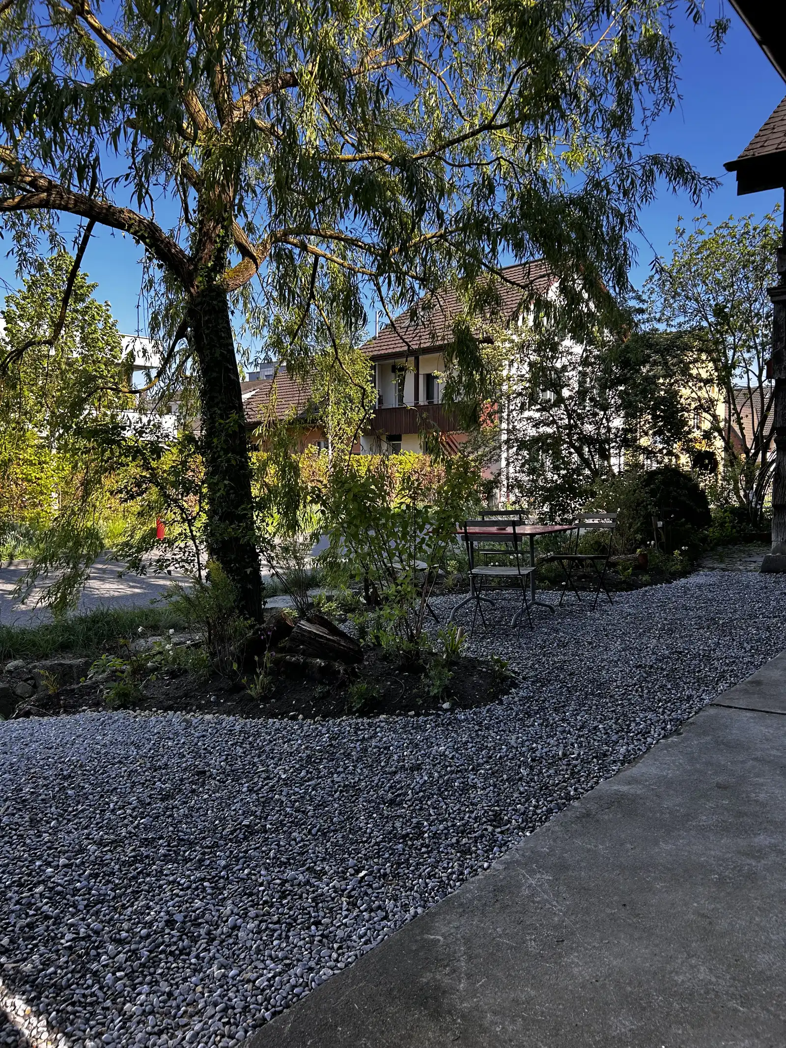 Gartenimpression 4