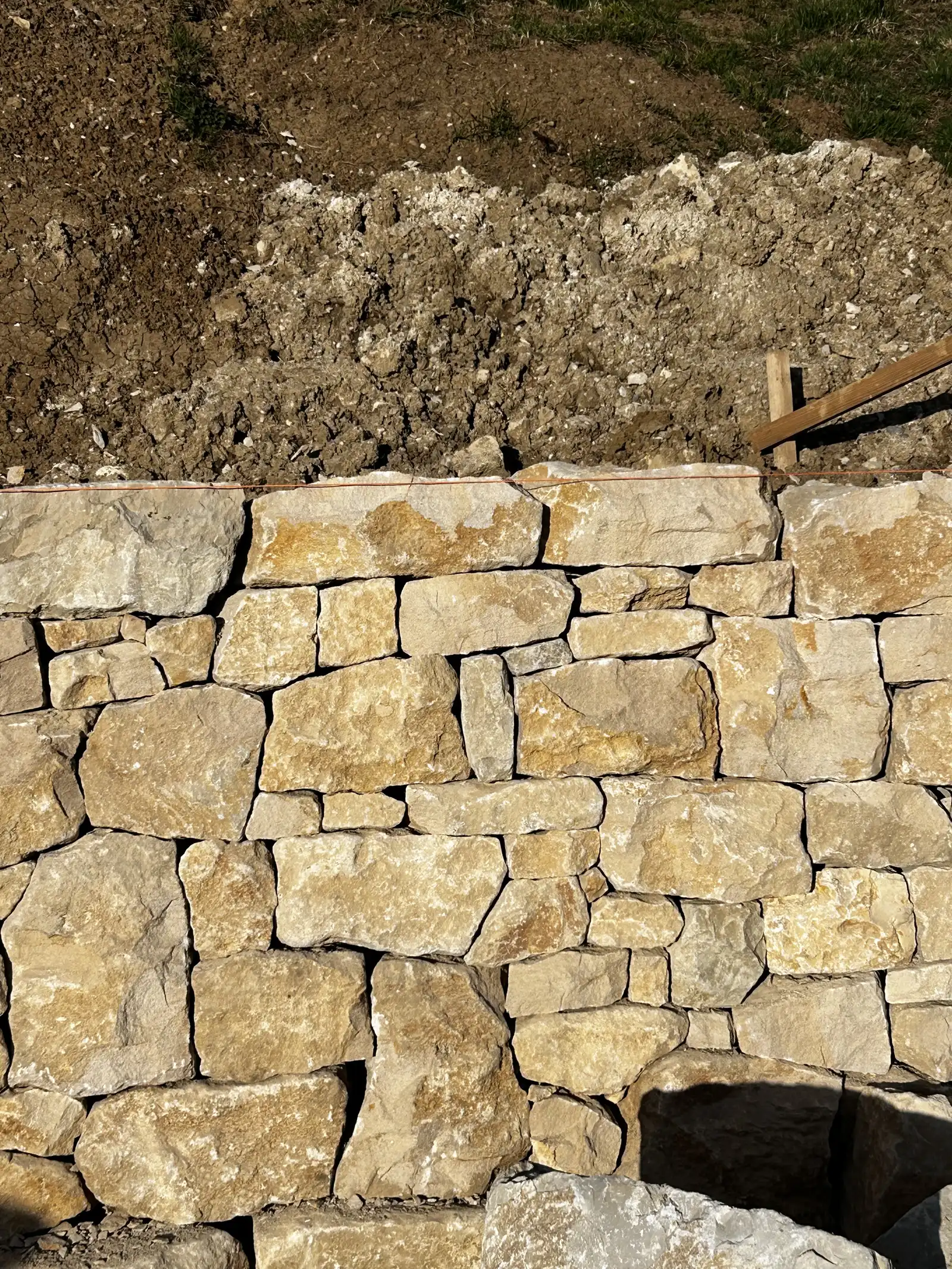 Gartenimpression 5